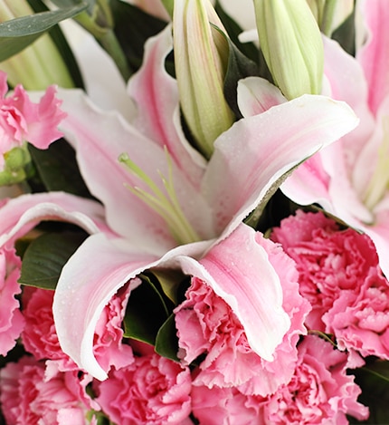 11 Stems Pink Carnation with Pink Oriental Lily