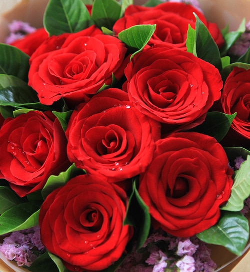 11 Stems Red Rose with Light Purple Statice