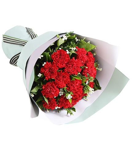 12 Stems Red Carnation & 2 Stems White Acacia with Leaves