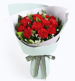 12 Stems Red Carnation & 2 Stems White Acacia with Leaves