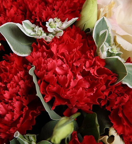 16 Stems Red Carnation & 3 Champagne Lisianthus with Heiwingia