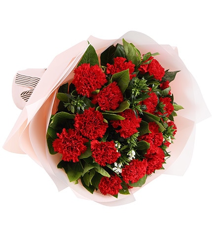 16 Stems Red Carnation & 5 Stems White Acacia with Leaves