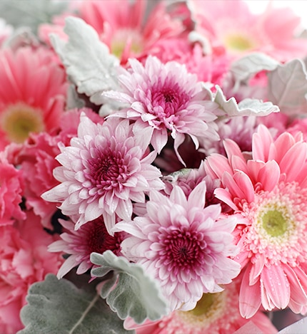 19 Stems Carnation & 5 Stems Pink Gerbra & 3 Pink Chrysanthemum with Leaves
