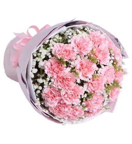 19 Stems Pink Carnation with Babysbreath & Oriole