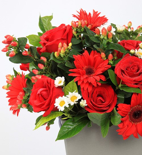19 Stems Red Rose & 11 Stems Red Gerbra with Leaves