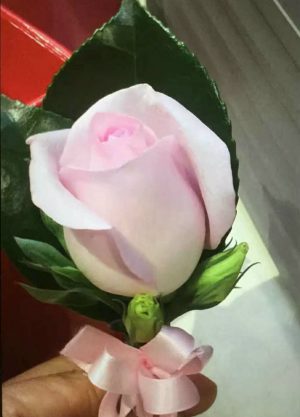 1朵浅粉红色玫瑰胸花