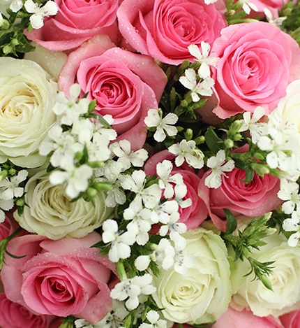 20 Stems Pink Rose & 13 Stems White Rose with White Acacia