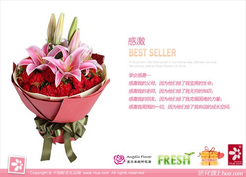 29 Stems Carnation & 2 Pink Oriental Lily