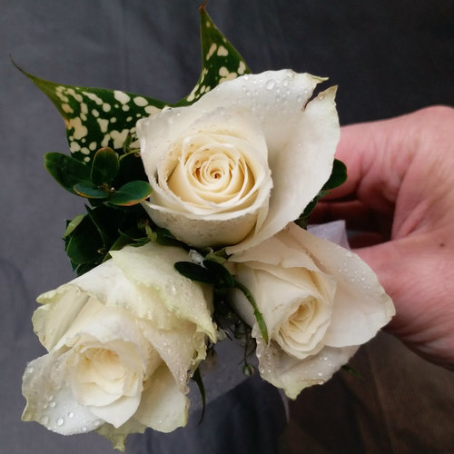 3 White Rose Corsage
