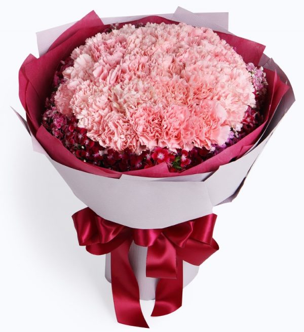 33 Stems Pink Carnation with Dark Pink Dianthus