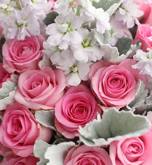 33 Stems Pink Rose & 5 Light Pueple Stock with White Chrysanthemun & Leaves