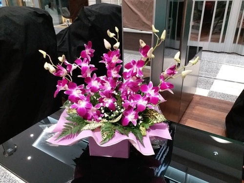 5 Stems Singapo Orchid / Fleelings