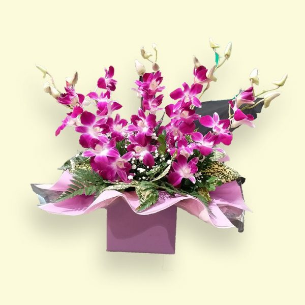 5 Stems Singapo Orchid / Fleelings
