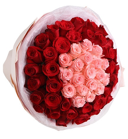 50枝鲜花(19枝粉色玫瑰31枝红玫瑰)/爱在心头