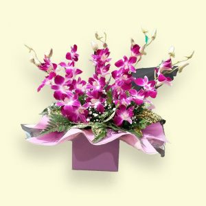 5枝紫色新加坡兰花