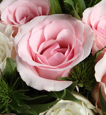 6 Stems Pink Rose & 6 Stems White Rose with Leaves