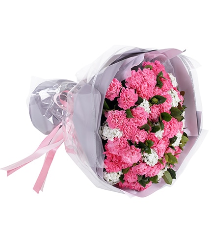 66 Stems Pink Carnation & White Dianthus with Leaves