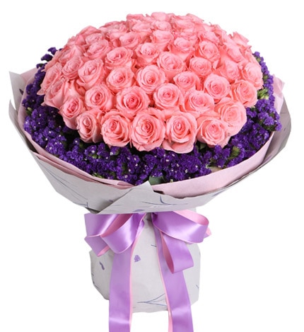 66 Stems Pink Rose & Dark Purple Statice