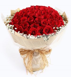 66 Stems Red Rose with Babysbreath